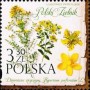 植物:欧洲:波兰:pl202002.jpg