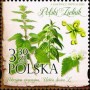 植物:欧洲:波兰:pl202003.jpg