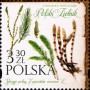 植物:欧洲:波兰:pl202004.jpg