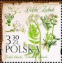 植物:欧洲:波兰:pl202005.jpg