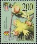 植物:欧洲:波黑塞族:bas200002.jpg