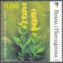 植物:欧洲:波黑:ba200302.jpg