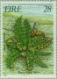 植物:欧洲:爱尔兰:ie198602.jpg