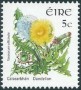 植物:欧洲:爱尔兰:ie200402.jpg