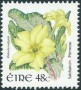 植物:欧洲:爱尔兰:ie200403.jpg