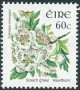 植物:欧洲:爱尔兰:ie200404.jpg