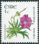 植物:欧洲:爱尔兰:ie200501.jpg