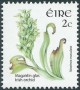 植物:欧洲:爱尔兰:ie200502.jpg