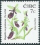 植物:欧洲:爱尔兰:ie200503.jpg