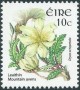 植物:欧洲:爱尔兰:ie200504.jpg