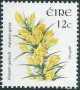 植物:欧洲:爱尔兰:ie200601.jpg