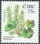 植物:欧洲:爱尔兰:ie200603.jpg