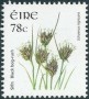 植物:欧洲:爱尔兰:ie200703.jpg