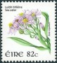 植物:欧洲:爱尔兰:ie200803.jpg