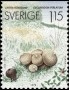 植物:欧洲:瑞典:se197802.jpg