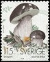 植物:欧洲:瑞典:se197805.jpg