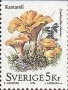 植物:欧洲:瑞典:se199603.jpg