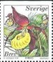 植物:欧洲:瑞典:se199902.jpg