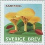 植物:欧洲:瑞典:se201501.jpg