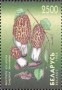 植物:欧洲:白俄罗斯:by199801.jpg