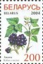 植物:欧洲:白俄罗斯:by200407.jpg