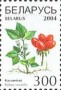 植物:欧洲:白俄罗斯:by200408.jpg