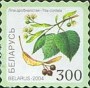植物:欧洲:白俄罗斯:by200418.jpg