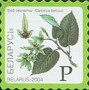 植物:欧洲:白俄罗斯:by200426.jpg