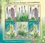 植物:欧洲:白俄罗斯:by201103.jpg