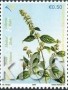 植物:欧洲:科索沃:xk200802.jpg