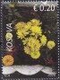 植物:欧洲:科索沃:xk202008.jpg