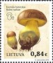植物:欧洲:立陶宛:lt201601.jpg