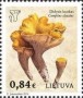 植物:欧洲:立陶宛:lt201602.jpg