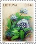 植物:欧洲:立陶宛:lt201901.jpg