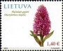 植物:欧洲:立陶宛:lt202301.jpg