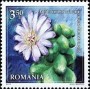 植物:欧洲:罗马尼亚:ro201701.jpg