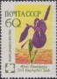 植物:欧洲:苏联:ussr196007.jpg