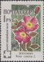 植物:欧洲:苏联:ussr196008.jpg