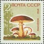 植物:欧洲:苏联:ussr196401.jpg