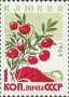 植物:欧洲:苏联:ussr196406.jpg