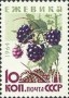 植物:欧洲:苏联:ussr196409.jpg