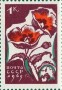 植物:欧洲:苏联:ussr196501.jpg