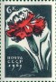 植物:欧洲:苏联:ussr196504.jpg