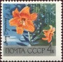 植物:欧洲:苏联:ussr196902.jpg