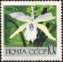 植物:欧洲:苏联:ussr196903.jpg