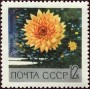 植物:欧洲:苏联:ussr196904.jpg