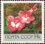 植物:欧洲:苏联:ussr196905.jpg