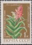 植物:欧洲:苏联:ussr197201.jpg