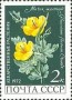 植物:欧洲:苏联:ussr197202.jpg