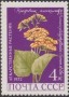 植物:欧洲:苏联:ussr197203.jpg